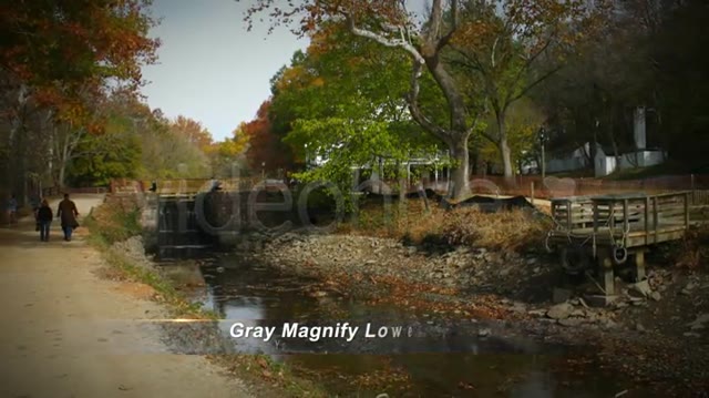 Gray Magnify Lower Third