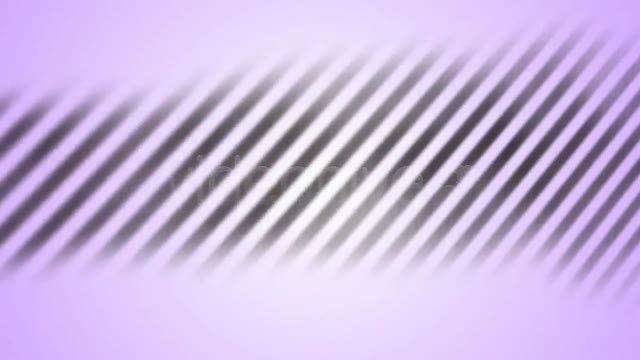 Elegant Rotation Logo Reveal