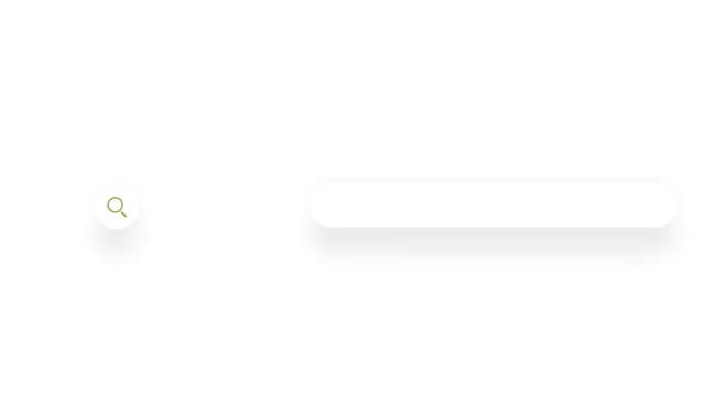 Internet Search Logo Reveal