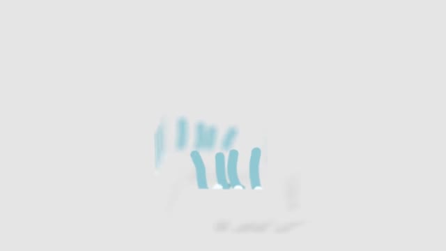 Elegent Logo Reveal