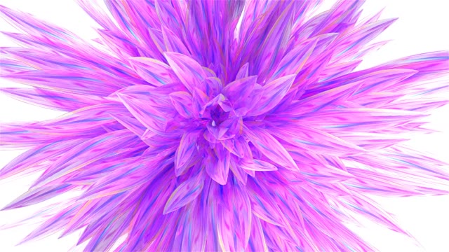 Pink Flower Logo Reveal