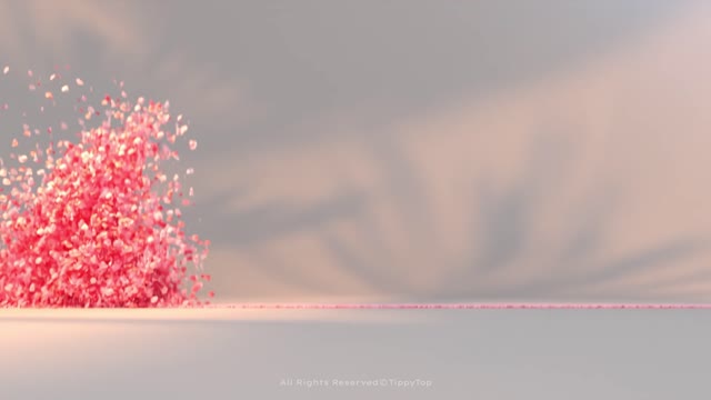 Petals Logo Reveal