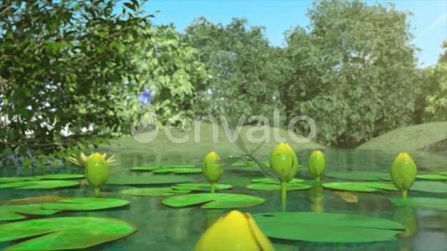 Lilies And Dragonfly