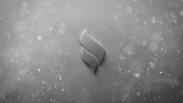 Luxury Clean Logo