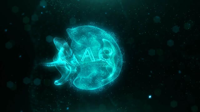 Flow Logo Reveal