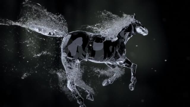 Splashing Horse Logo Reveal