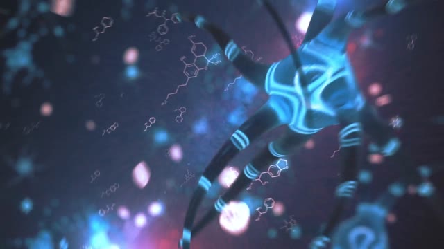 Bacteria Logo Reveal