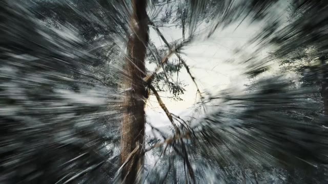 Winter Is Coming