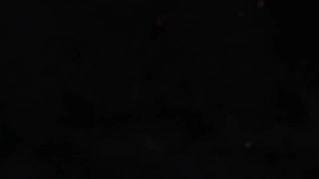 Brutal Logo Intro Reveal V3