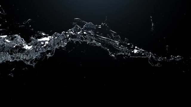 Watertrail Logo Reveal