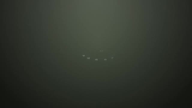 Smooth Light Shiny Silver Logo Reveal