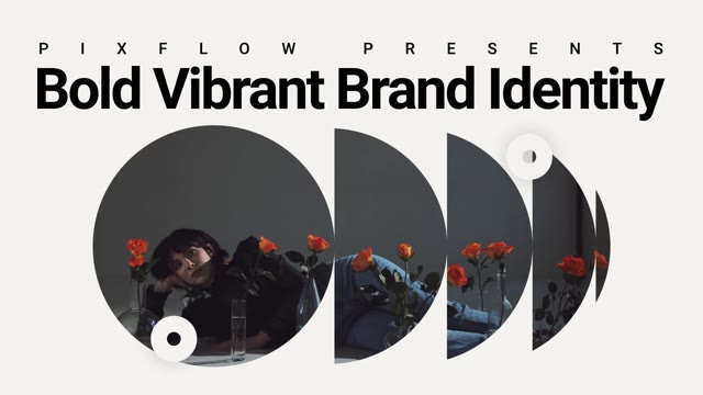 Bold Vibrant Brand Identity For After Effects