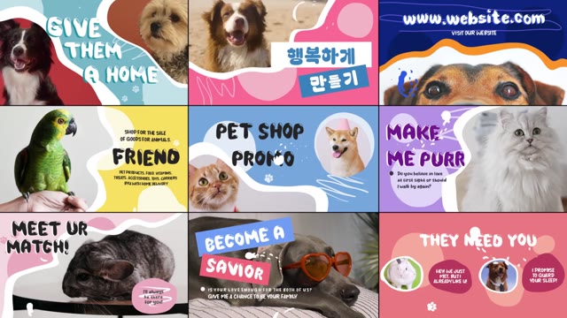Pet Shop Promo For After Effects