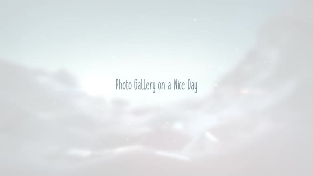 Photo Gallery On A Nice Day