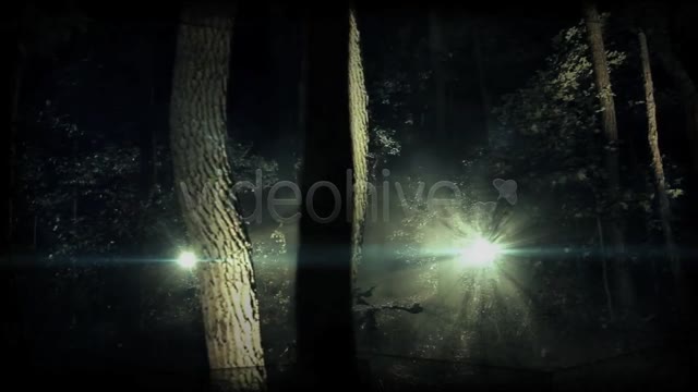 Dark Woods And Text