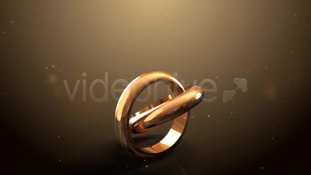 Weddings Rings Intro