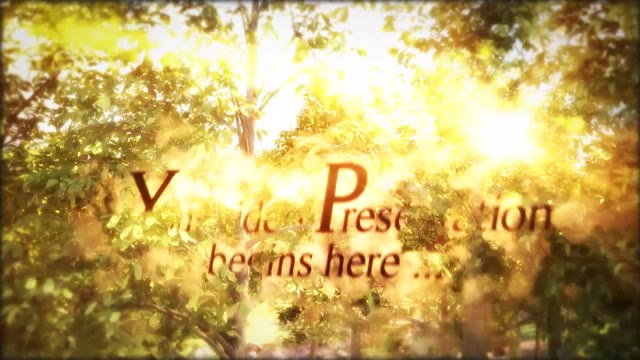Magic Forest