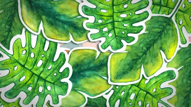 Tropical Cartoon Opener