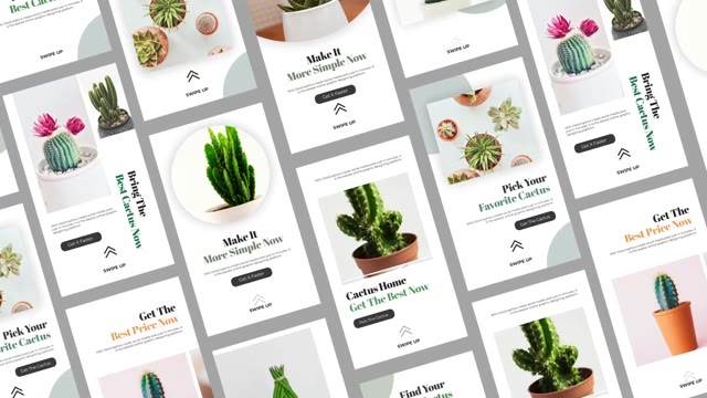 Cactus Instagram Story Pack