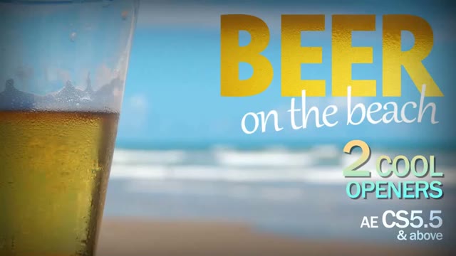 Beer Bottles By The Beach