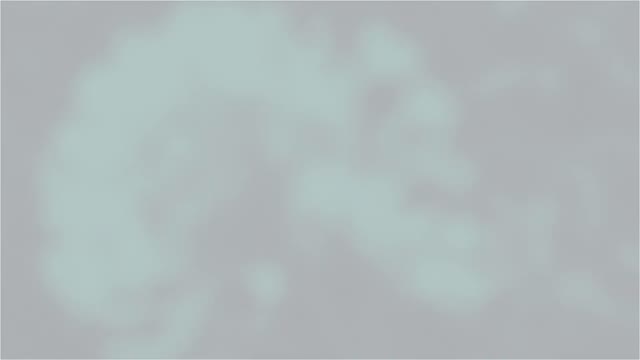 Summer Mood Intro