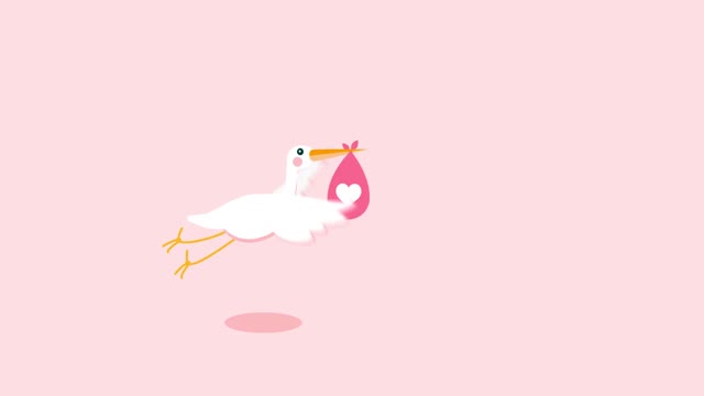 Stork Baby Birthday Opener