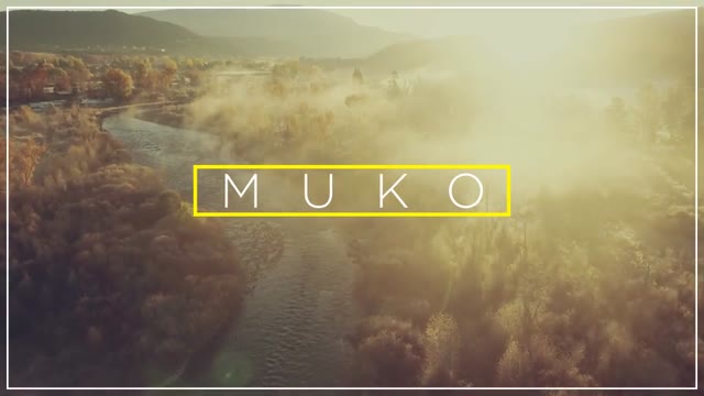 Minimal Transitions Titles