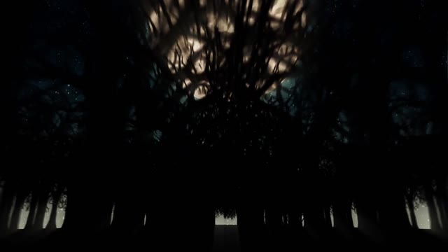 Dark Wood