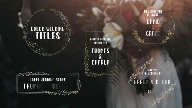 Color Wedding Titles
