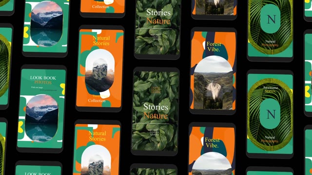 Album Instagram Reels